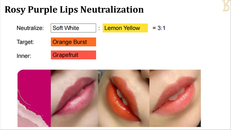 Neo color collection